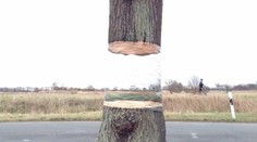 Strom, ktorý sa vznáša vo vzduchu: Objavili ho v Nemecku!