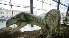 Slovenskí vedci objavili v Tatrách nové stopy dinosaurov