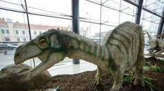 Slovenskí vedci objavili v Tatrách nové stopy dinosaurov