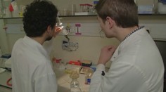 Viete, koľko plastu zjete spolu s jedlom?