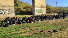 Rušno na R1: Pri Nitre zachytili takmer sto migrantov, prevádzača zadržali po komickom úteku