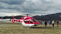 Ženu na Považí napadlo počas prechádzky so psom stádo kráv. Do nemocnice ju vzal vrtuľník