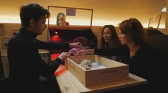 V Moskve majú kaviareň pre milovníkov ježkov. Zvieratá majú trojdňový pracovný týždeň