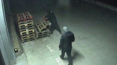 Polícia zverejnila video z krádeže v Leviciach. Takto sa zlodeji prebúrali do elektro predajne