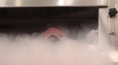 Odhalíme vám tajomstvo čerstvého mäsa v hypermarketoch