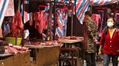 Život na trhovisku vo Wu-chane sa vrátil do normálu. V ponuke zostalo mäso z exotických zvierat
