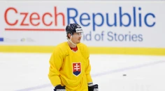 Kopecký opúšťa NHL, mieri do Třinca