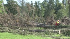 Pováľané kmene, vyvrátené stromy. Vo Svidníku odstraňujú spúšť po veternej smršti