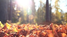 Nabaví vás sychravé počasie? Dobrá správa, prichádza babie leto