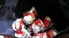 V Česku odhalili dodávku plnú páchnuceho mäsa a krvi