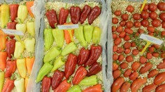 Zelenina poriadne zdražela, jeden druh až o polovicu