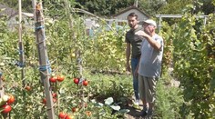 Dôchodca Emil miluje svoju záhradu a je to na nej vidieť. Prezradil, čo ešte môžete v týchto dňoch zasadiť