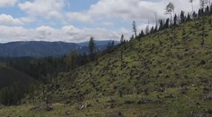 Po ťažbe v národných parkoch ostávajú holé pláne