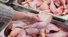 Robíte túto chybu pri mrazení kuraciny? Odborníci varujú pred rizikom pre zdravie,  jedna vec je kľúčová