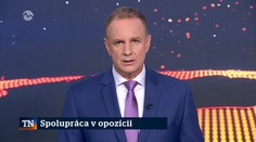 Spolupráca v opozícii