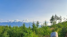 Vo Vysokých Tatrách znížili počet stretov s medveďom. Pomohlo im jedno opatrenie