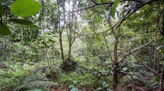 Nájdete na fotografii dvanásť britských vojakov?