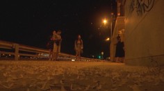 Nábrežie Dunaja v Budapešti zaplavili húfy hmyzu. Pohľad na ne za tmy nie je veľmi príjemný