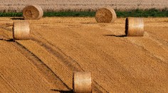 Nešťastie na juhu Slovenska: Stoh slamy zabil muža (†54)