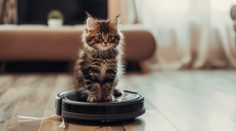 Prenasledujú domáce zvieratá a vulgárne nadávajú. Robotické vysávače v USA ovládli hackeri