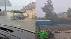 VIDEO: Nebezpečný downburst udrel v Nitre. Ulice zaplavila voda a lietali konáre