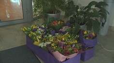 Riaditeľka ŠÚKL takéto gesto solidarity nečakala. Ľudia jej priniesli množstvo kvetov