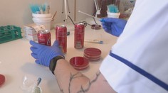 Ak si plechovky pred pitím neumývate, robíte chybu. Podľa testu sa tam nachádzajú tieto baktérie