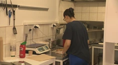 Letné brigády miznú rýchlosťou blesku. Študenti, ktorí čakajú, už vraj nebudú mať šancu