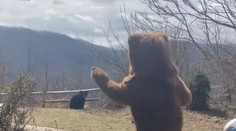 VIDEO: Muž chcel z pozemku odplašiť otravného medveďa. Jeho netradičná stratégia sa stala virálnym hitom