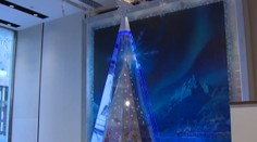 Najdrahší vianočný stromček na svete. Koľko by ste zaň dali?