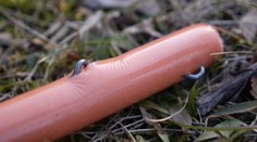 V Mikuláši niekto podhodil psom údeniny s klincami