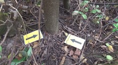 Zmrzačené vtáky na Zemplíne. Pytliaci ich lákajú na návnady v nášľapných pasciach