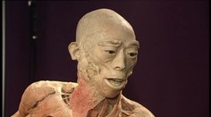 Stiahnuté telá z kože vyvolali búrlivú diskusiu. Čoskoro ich vystavia v Bratislave