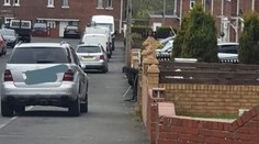 Muža zmiatla takmer dokonalá optická ilúzia: Čo sa vykľulo zo starčeka s paličkou, by neuhádol nikto