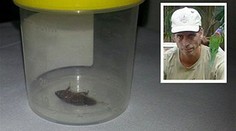 Z tohto vás strasie! Pozrite sa, čo vytiahla lekárka tomuto mužovi z ucha