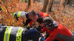 Oživiť sa ho snažili kolegovia aj záchranári. Lesný robotník, ktorého privalil strom, zraneniam podľahol