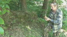 Hubárom počasie nepraje. Mykológ má však dobrú správu