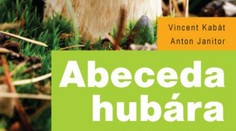 Abeceda hubára – všetko o hubách