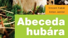 Abeceda hubára – všetko o hubách