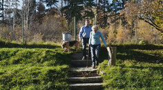 Bez elektriny sú už 400 dní. Starších manželov vraj chcú takto vyštvať z domu