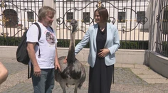 Po Bratislave sa prechádzal pštros, s ktorým sa odfotila aj ministerka Kolíková. Toto je príbeh jeho majiteľa