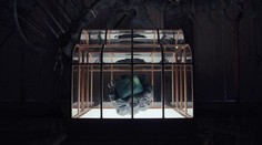 VIDEO: Vedci vyrobili kabelku z obnovenej kože Tyranosaura rexa. Jej cena vyráža dych