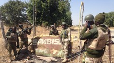 Ozbrojení muži uniesli v Nigeri Rakúšanku