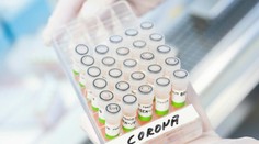 Ako je to s deltakronom? Slovenský virológ vysvetlil, čo môže znamenať