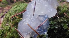 V Poľsku sa opäť objavilo záhadné „želé z vesmíru“