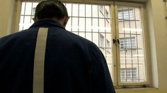 Belgicko spúšťa projekt miniväzníc