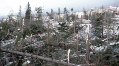 Život v Tatrách sa dlho vracal do starých koľají. Zaspomínali sme si s ľuďmi, ktorí pred 20 rokmi zažili ničivú kalamitu