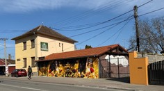 Lúpežné prepadnutie v herni v Bernolákove. Páchateľ napadol krupiérku a ušiel s balíkom peňazí