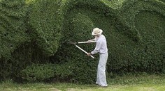 Záhradník strihá živý plot už desať rokov. Toto je úžasný výsledok