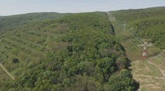 Stožiare v lese nad Dúbravkou? Hrozí výrub plochy veľkej ako 16 futbalových ihrísk